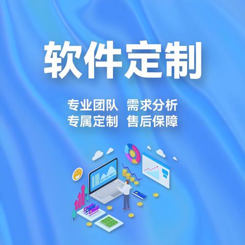 软件定制开发：企业数字化转型的加速器